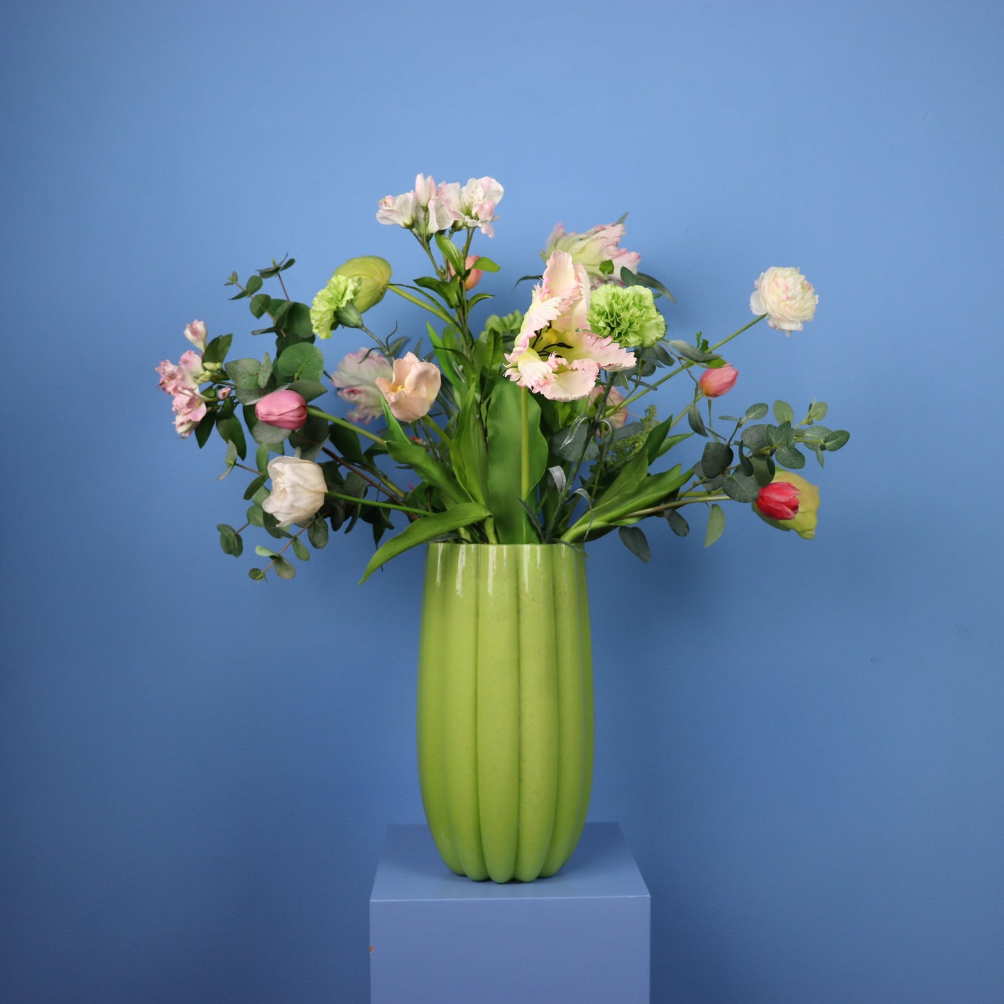 XL - Milo - Pols Potten