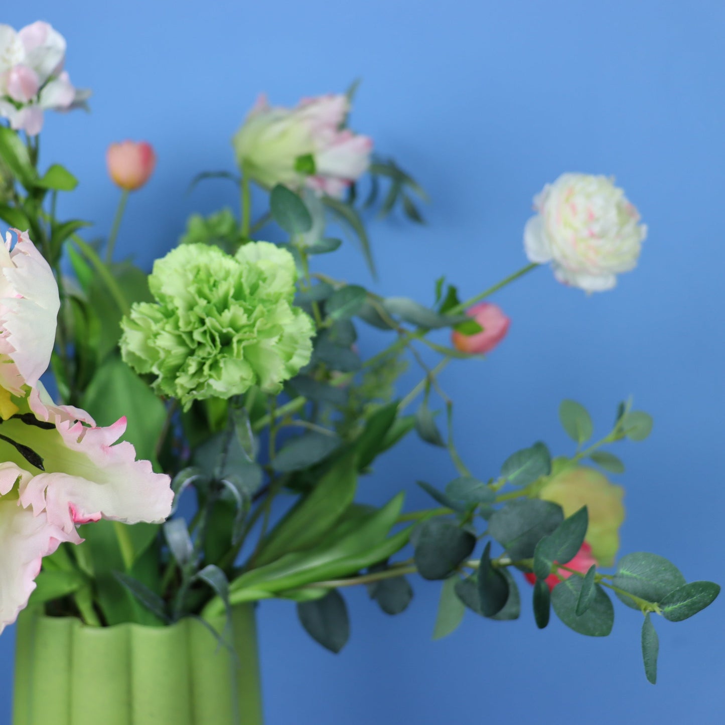 XL - Milo - Pols Potten