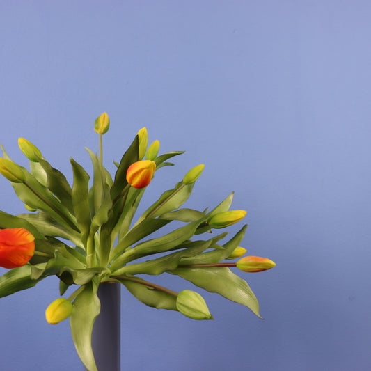 L - Kristian- Pip Studio vaas