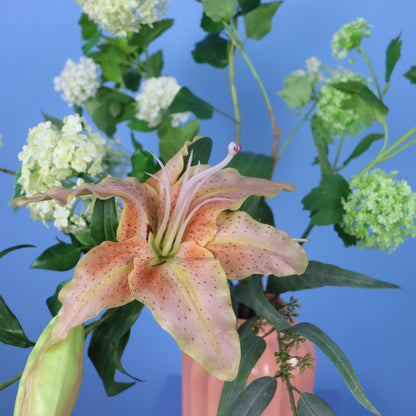 L - Kaya - Sissy Boy vaas