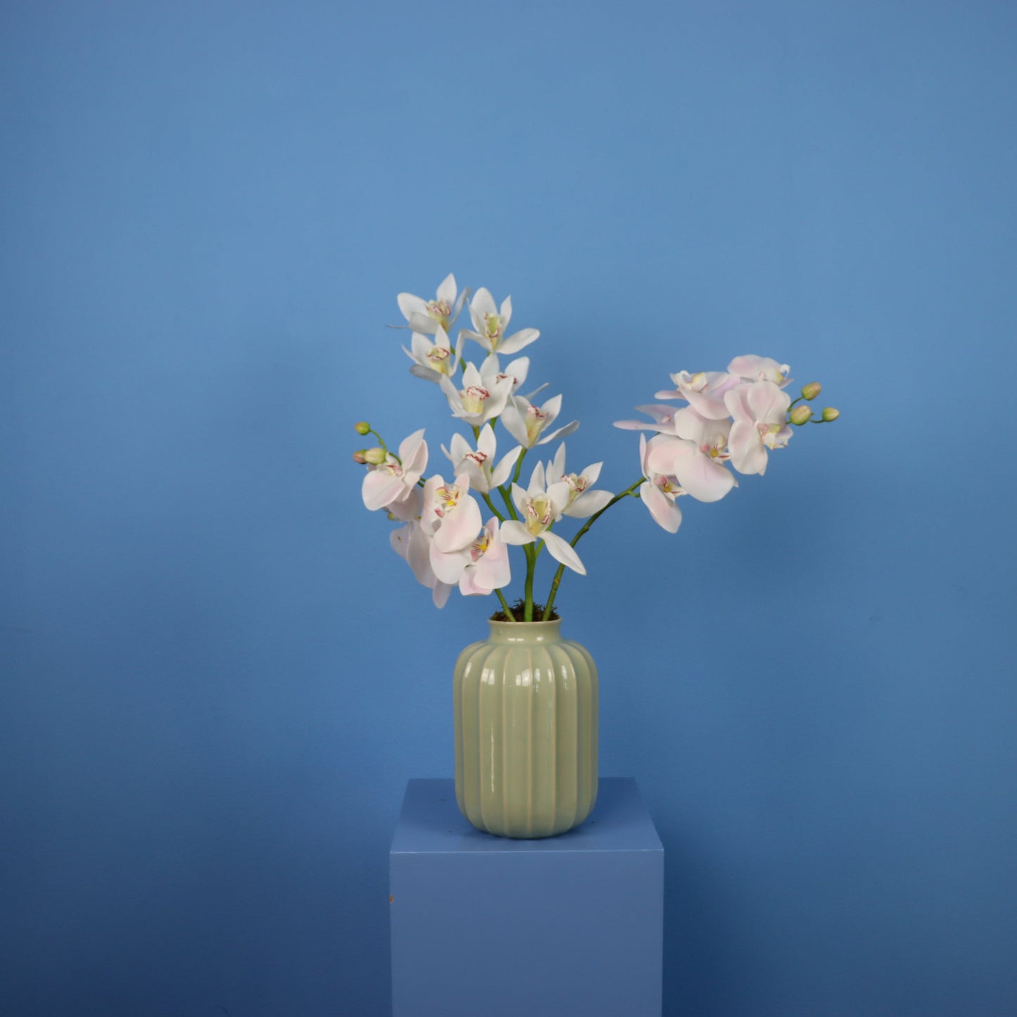 L - Izzy - Sissy Boy vaas