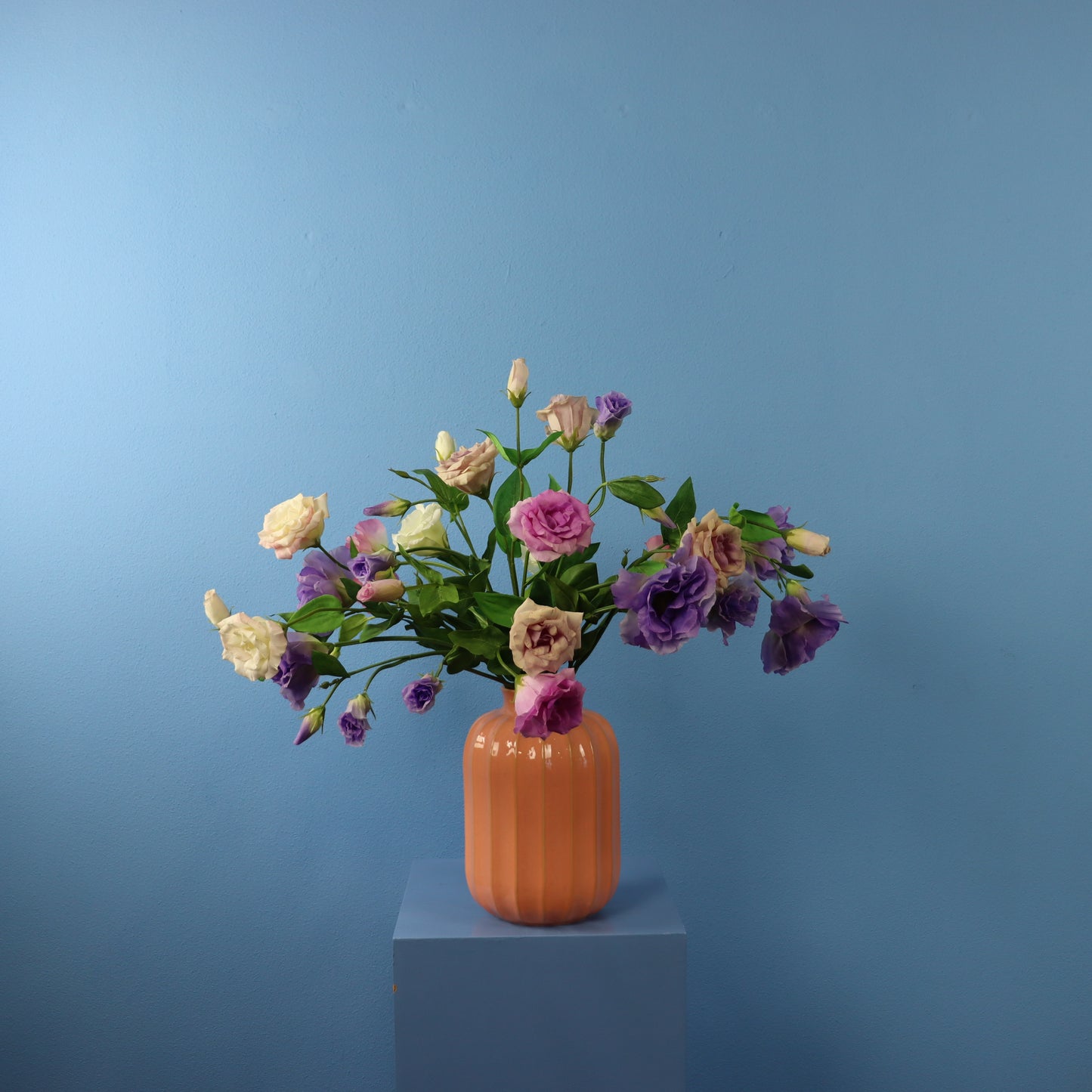 L - Carilla - Sissy Boy vaas