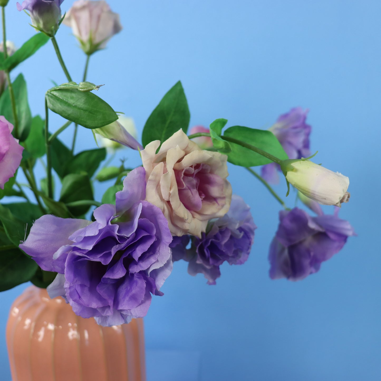 L - Carilla - Sissy Boy vaas