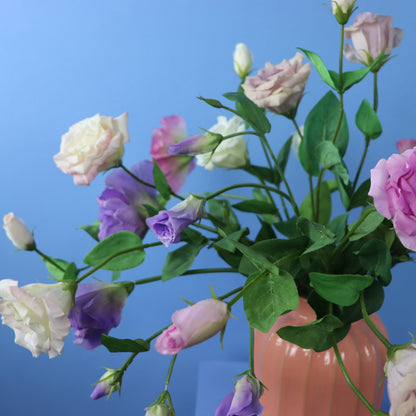 L - Carilla - Sissy Boy vaas