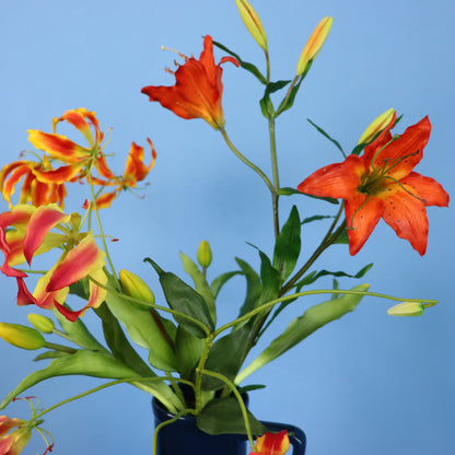 L - Jolanda - Return to Sender vaas