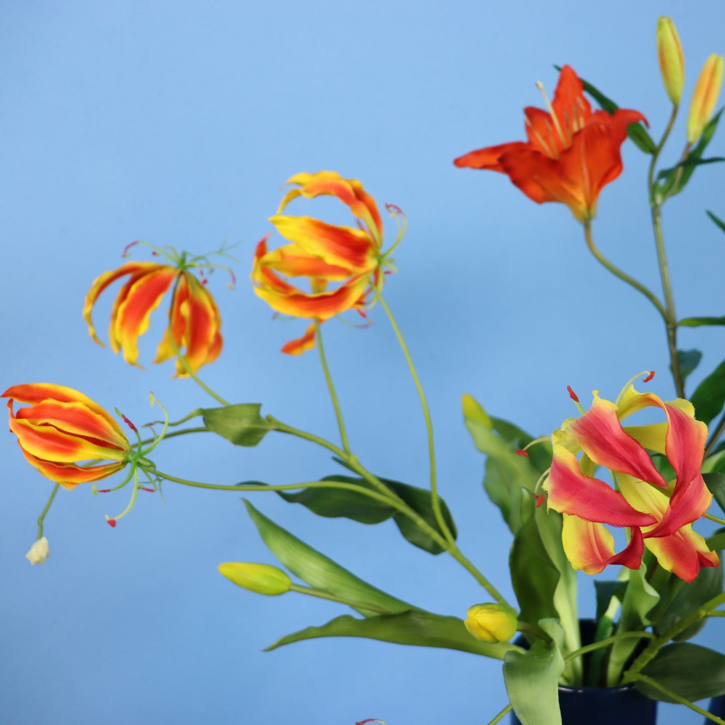 L - Jolanda - Return to Sender vaas