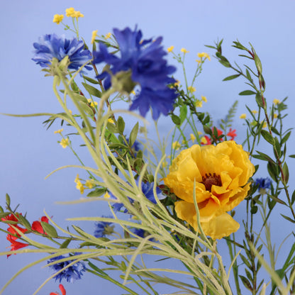 XL -Misa - Pols Potten Vaas