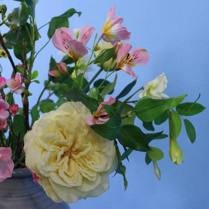 L - Nolan - Grijze kruikvaas