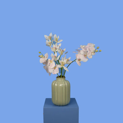 L - Izzy - Sissy Boy vaas