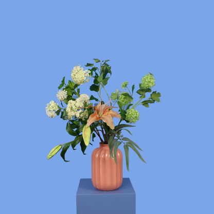 L - Kaya - Sissy Boy vaas