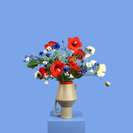 L - Maxima - Return to Sender vaas