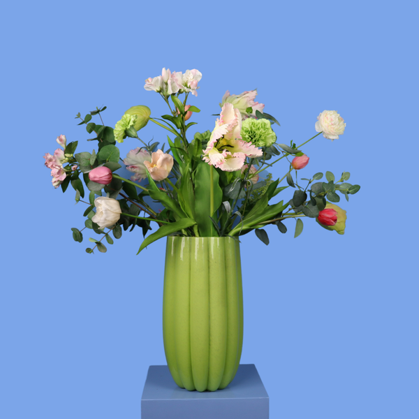 XL - Milo - Pols Potten