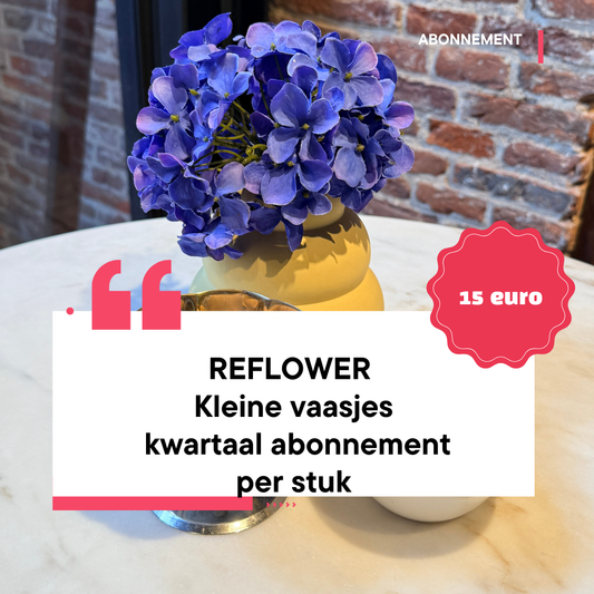 Reflower kwartaalabonnement Small – kunstbloemen inclusief designvaas