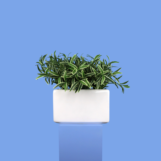 Witte plantenbak Valletta, maat XL – Reflower
