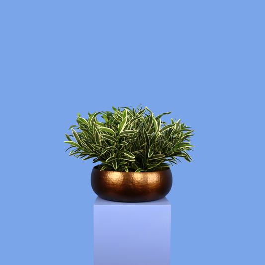 Witte plantenbak Wellington, maat XL – Reflower