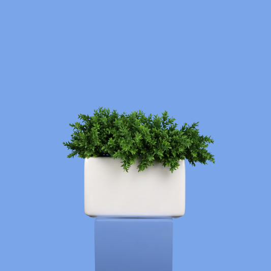 Witte plantenbak Zurich, maat XL – Reflower