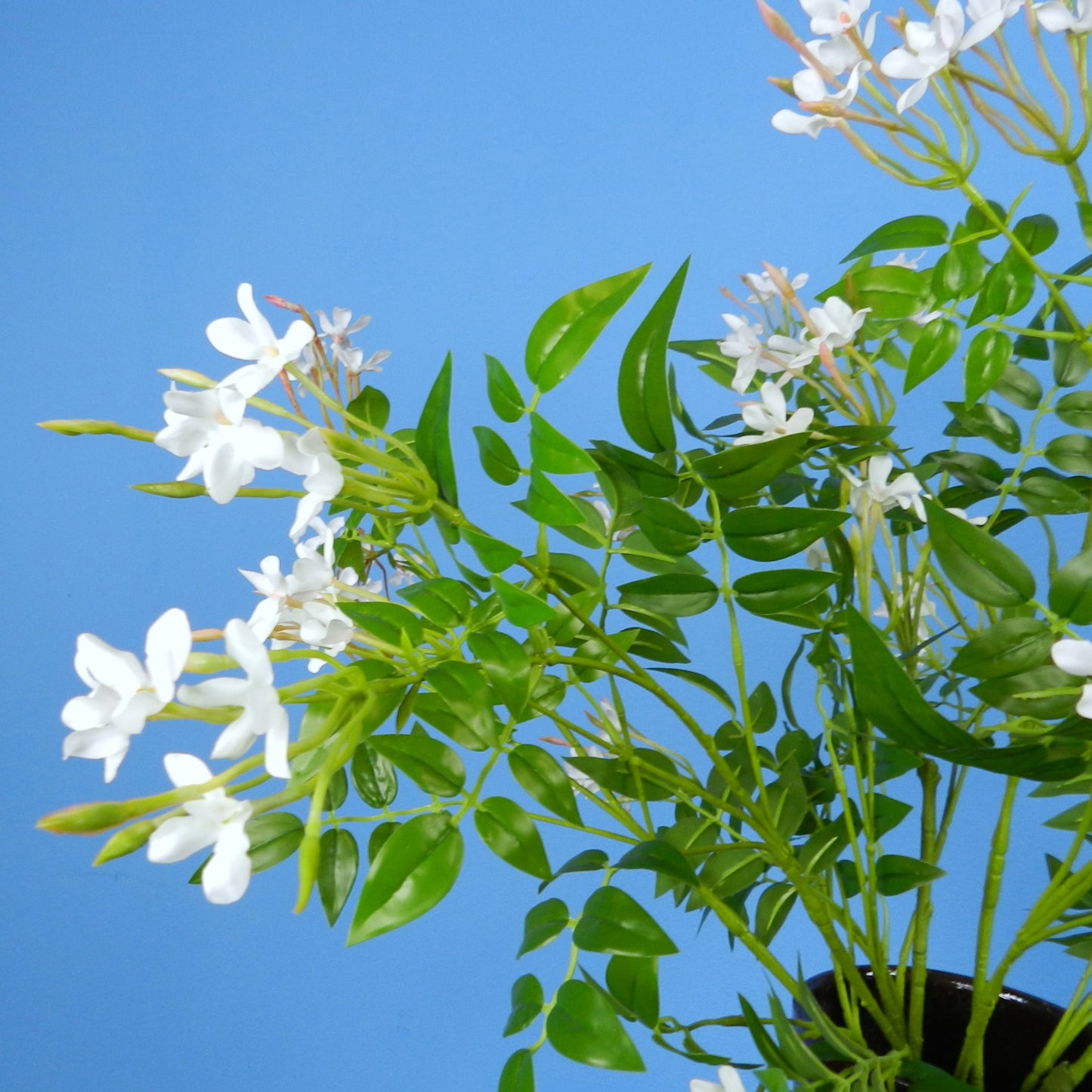 L - Celeste - Serax vaas