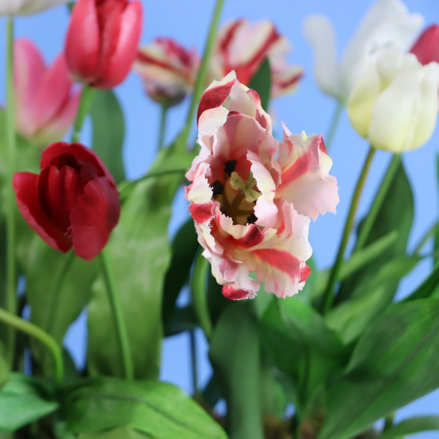 L - Beatrix - Witte 'broodrooster' bak