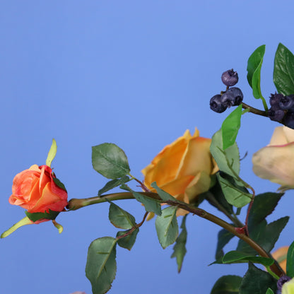 XL - Adam - Return to Sender vaas