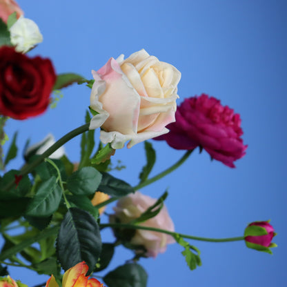 XL - Adam - Return to Sender vaas